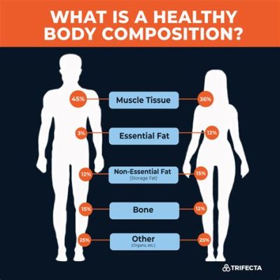 which of the following is a synonym for body composition? Body composition analysis can reveal much about an individual's health and fitness.